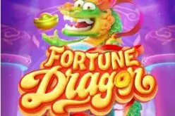 Fortune Dragon